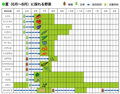 時種|野菜の種まき【時期は？種まきカレンダー 一覧表